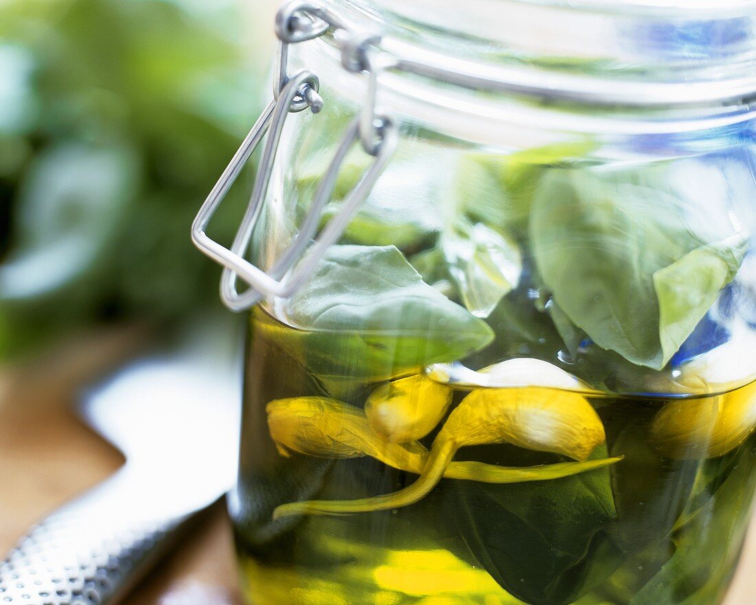 Olivenöl mit Basilikum und Knoblauch im Einmachglas