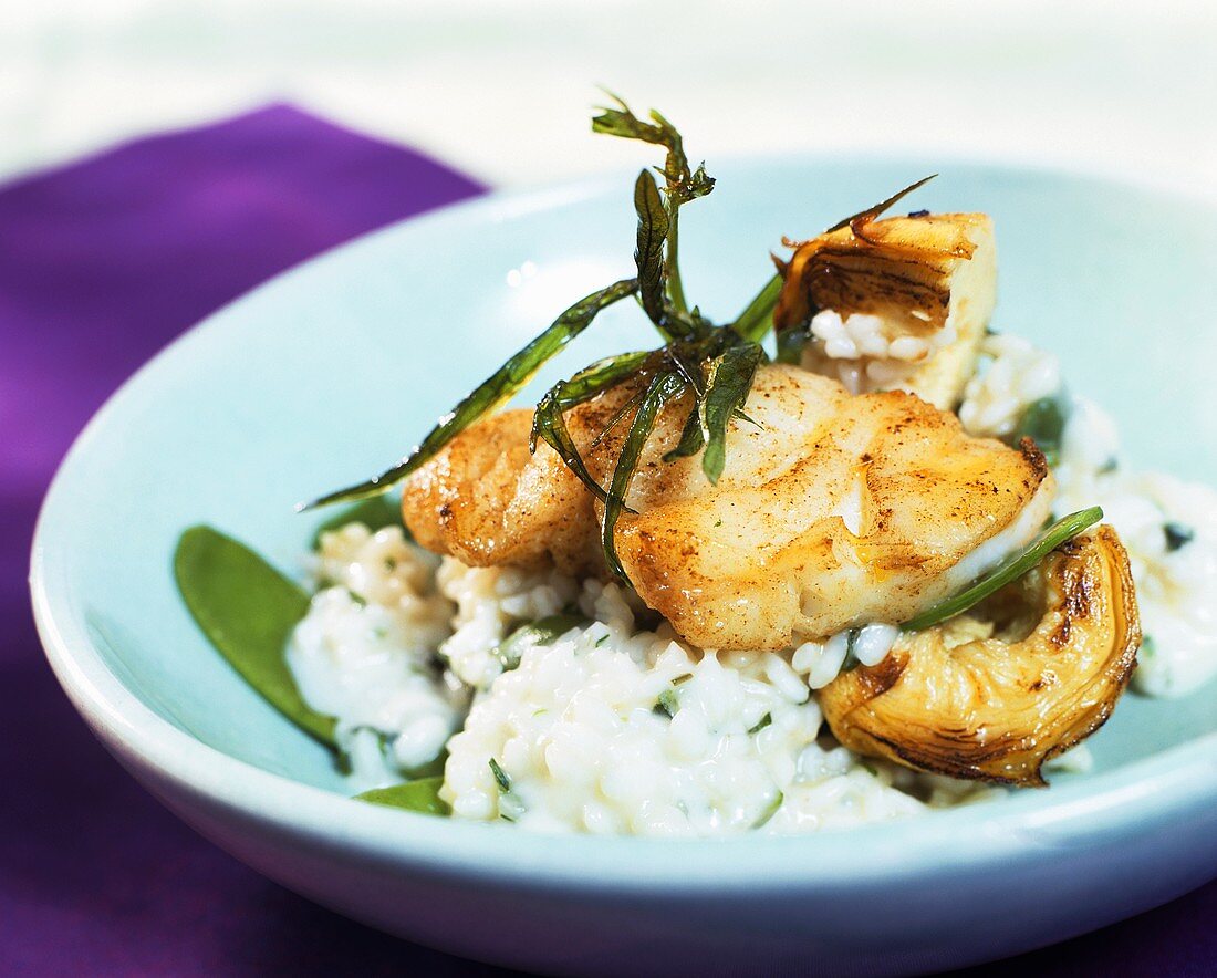 Würziger Steinbeisser auf Risotto mit Estragon