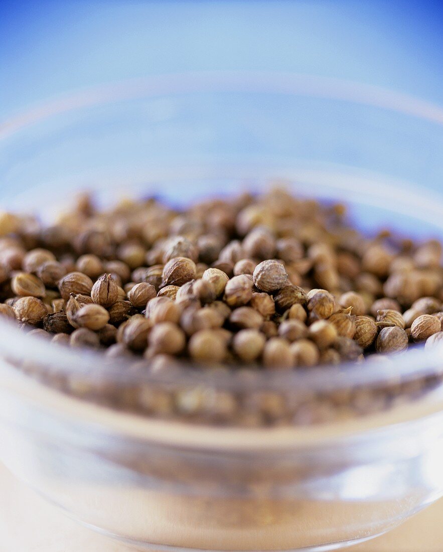 Coriander seeds in glass bowl