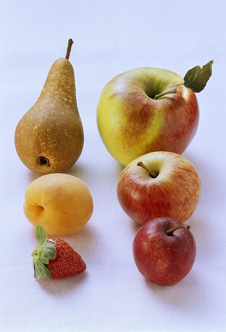 Frische Äpfel, Birne, Aprikose und Erdbeere