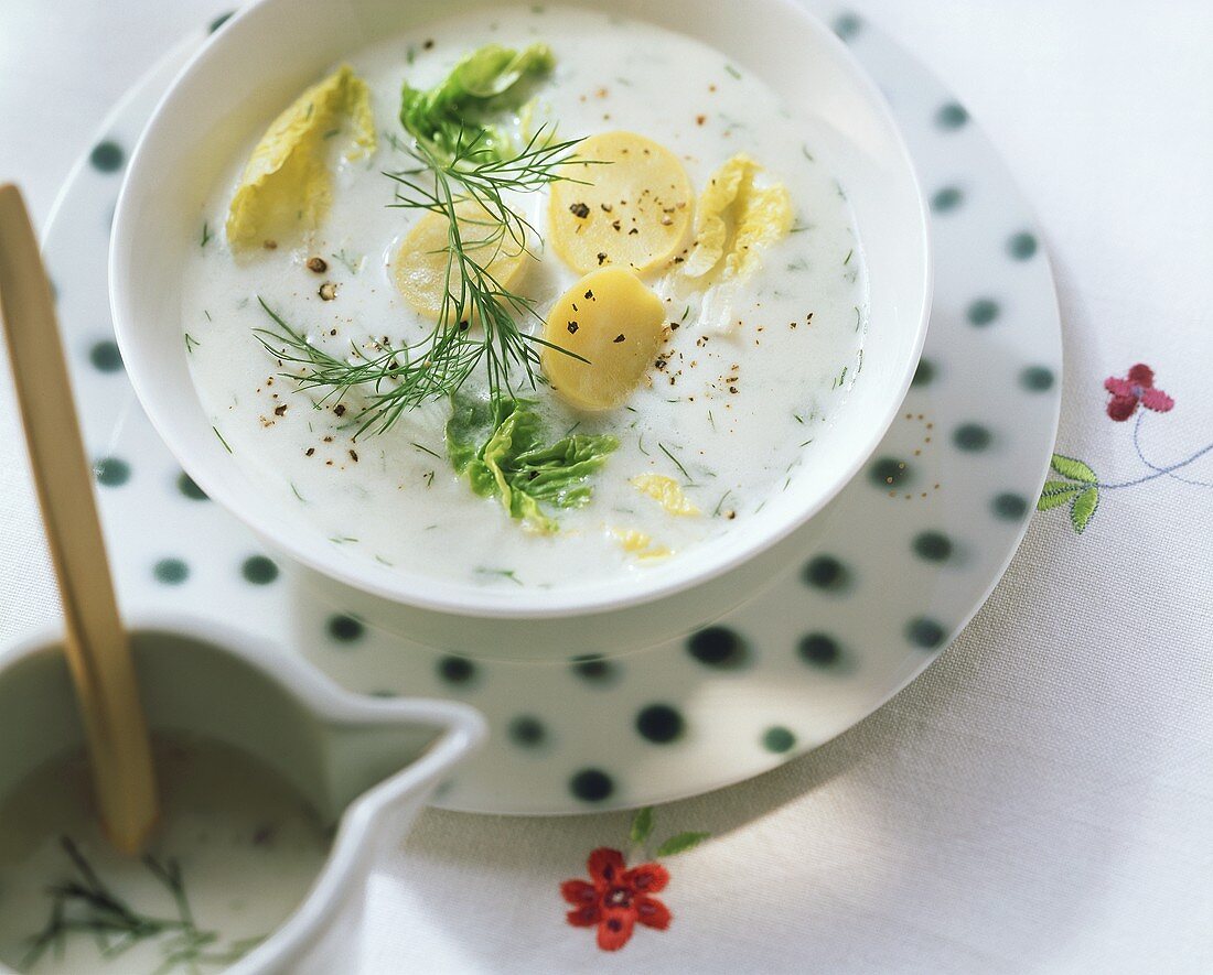 Curd cheese soup with potatoes, dill & strips of lettuce