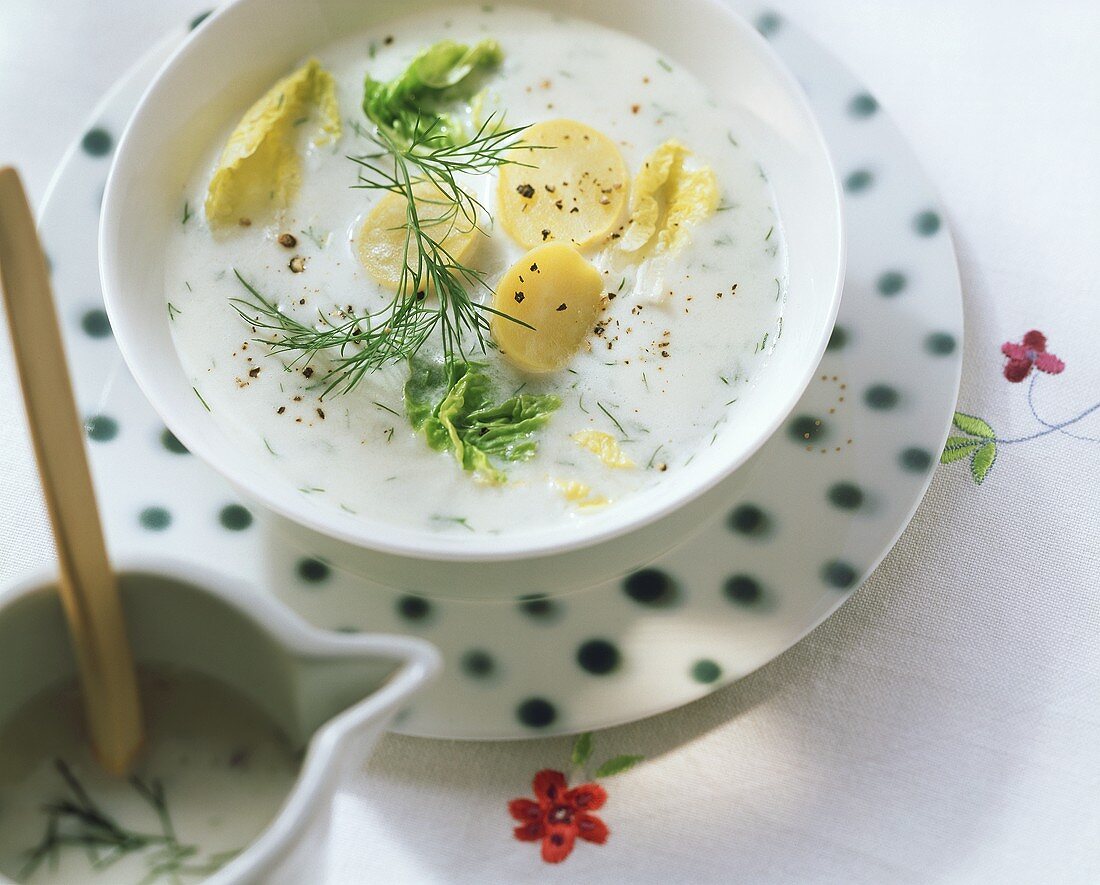 Topfenrahmsuppe mit Kartoffeln, Dill und Salatstreifen