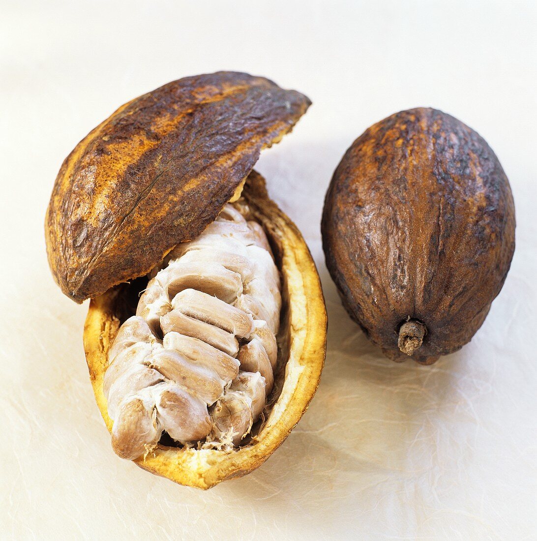 Ganze und geöffnete Kakaofrucht mit Kakaobohnen