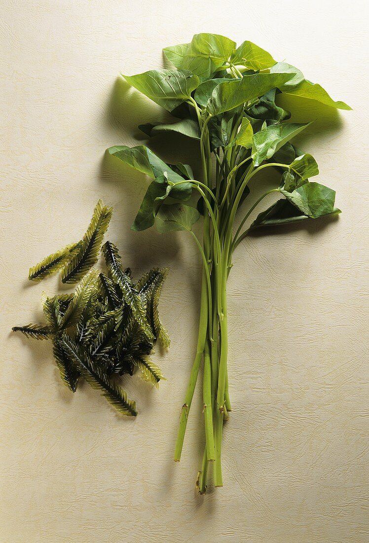 Water spinach and Balinese sea grass