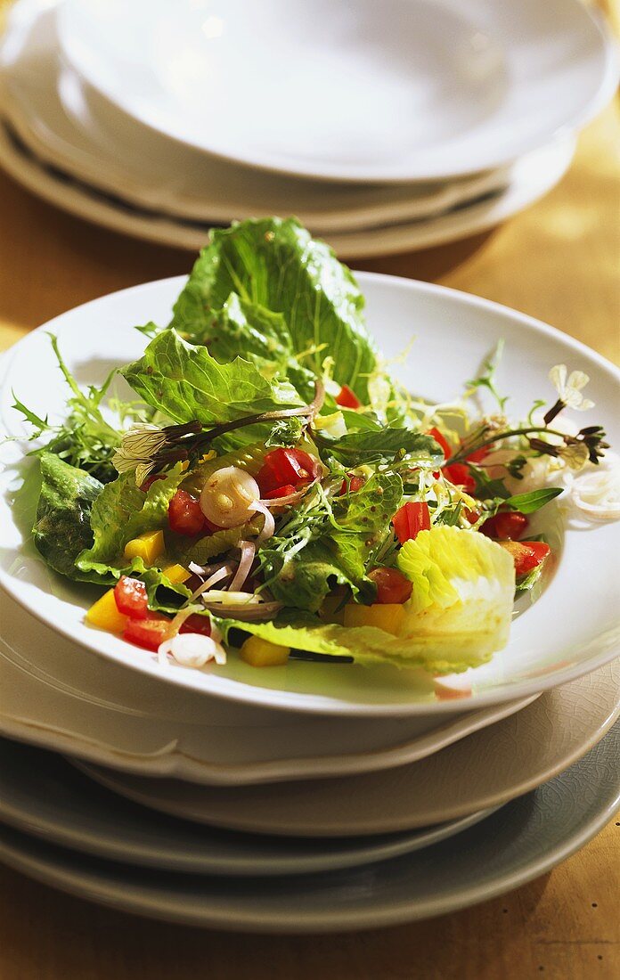 Romanasalat mit roten und gelben Tomaten und Zwiebeln