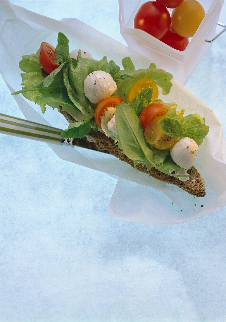 Tomato and mozzarella sandwich with lettuce leaves