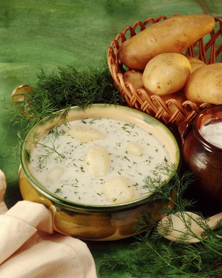Cold potato soup with sour cream and dill