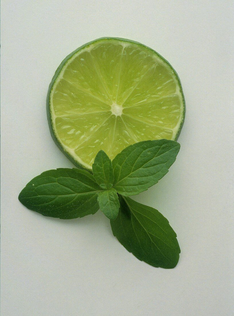 A slice of lime with mint leaves