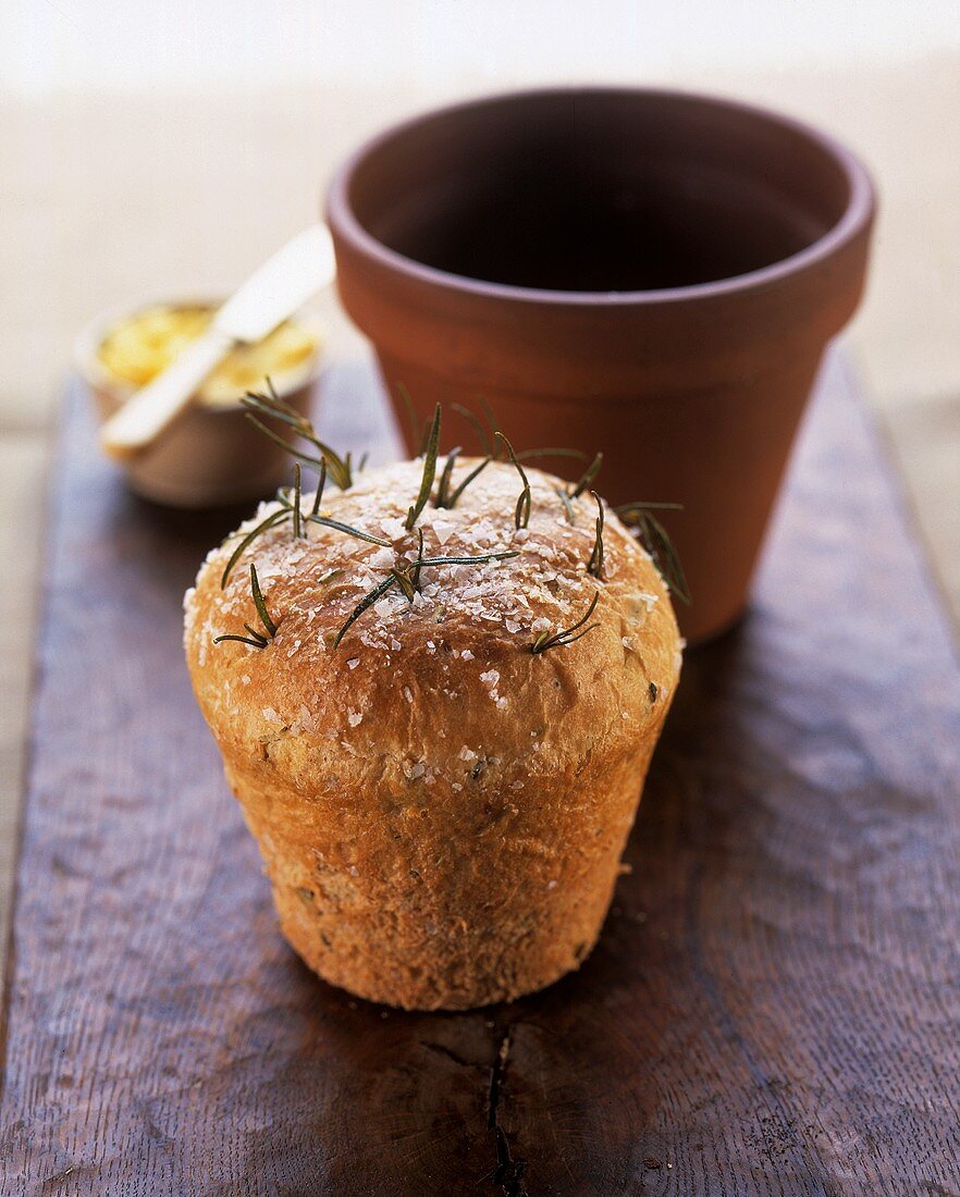 Rosemary bread baked in flower pot