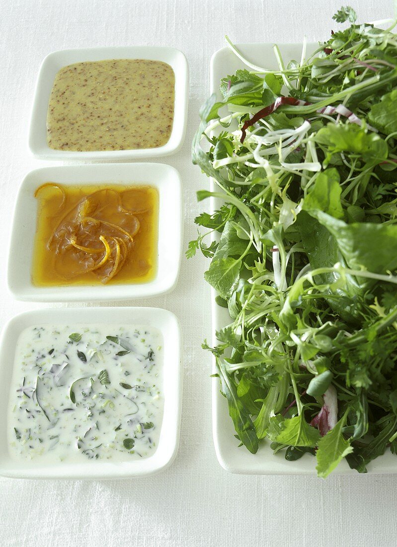 Three different salad dressings beside mixed salad leaves