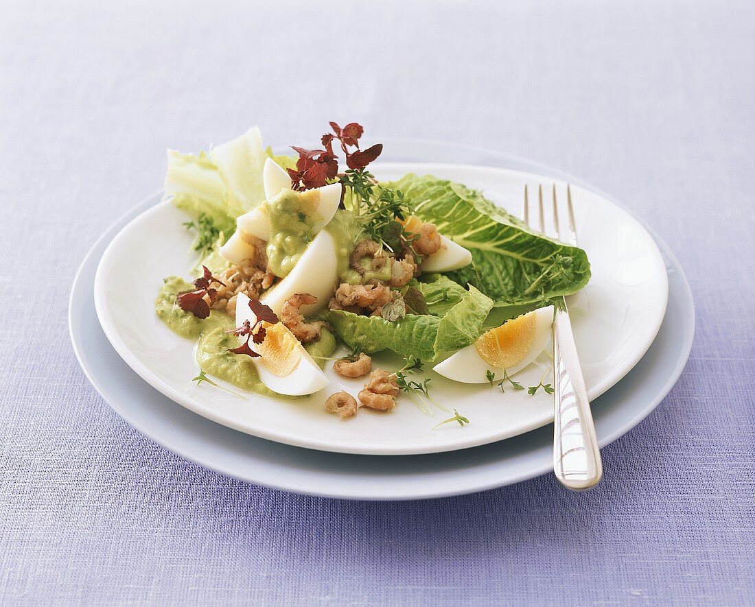Romaine lettuce with cress, egg and shrimps