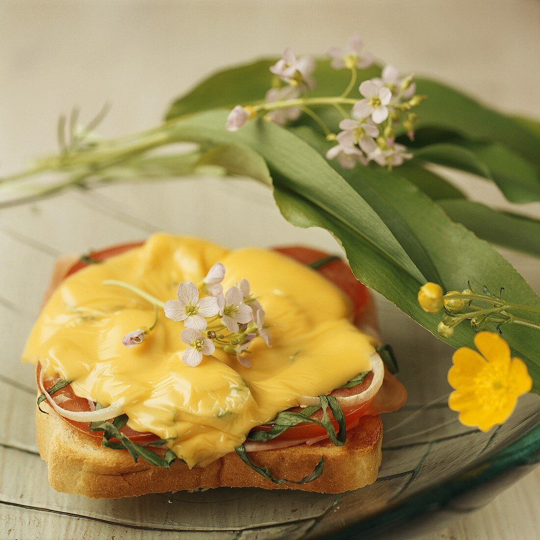 Ham and cheese on toast with ramsons (wild garlic)