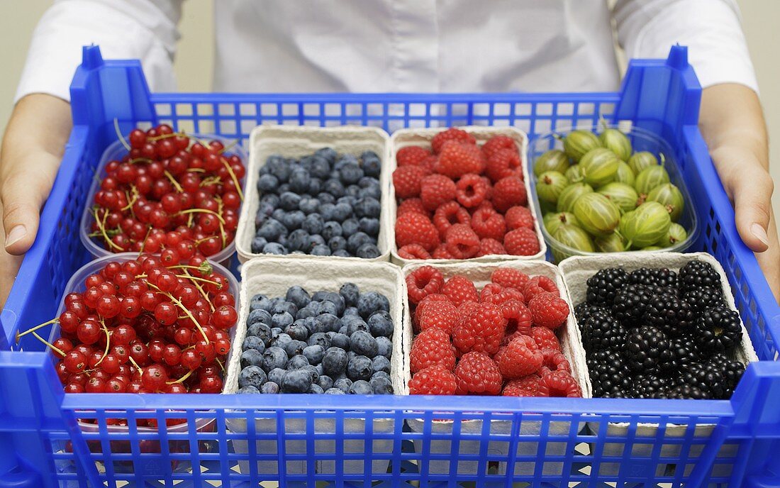 Person hält Steige mit frischen Beeren