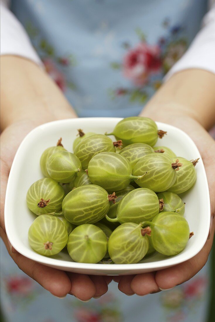 Woman holding bowl of gooseberries