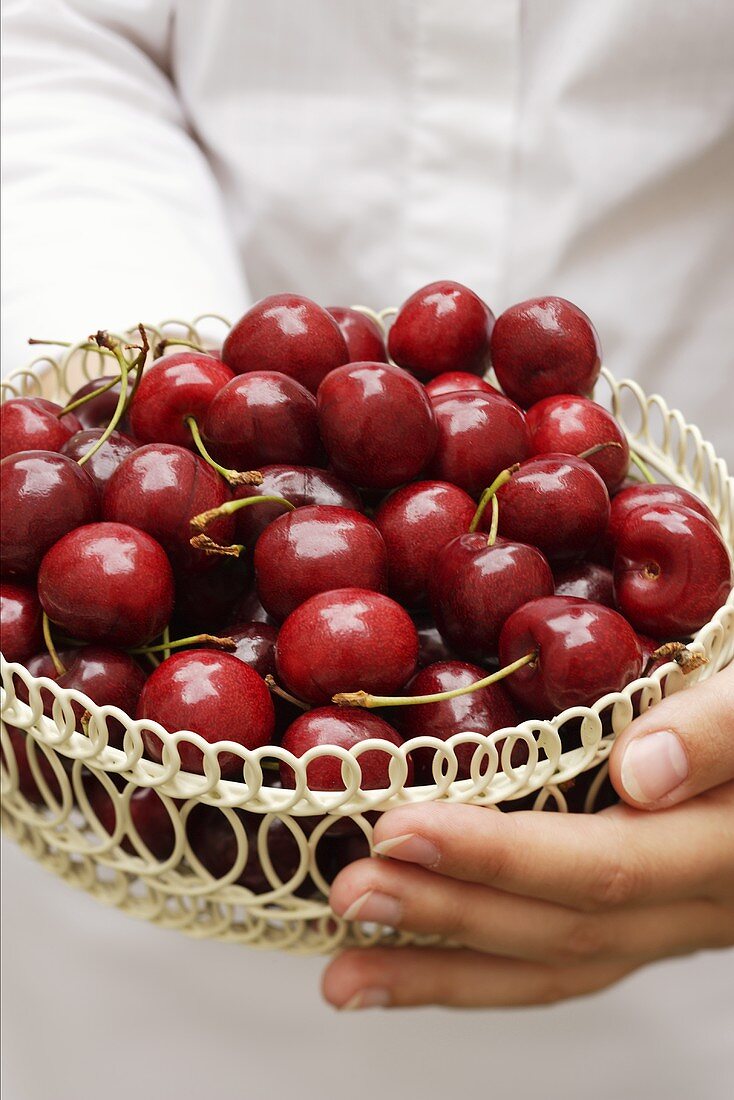 Hands holding basket of cherries