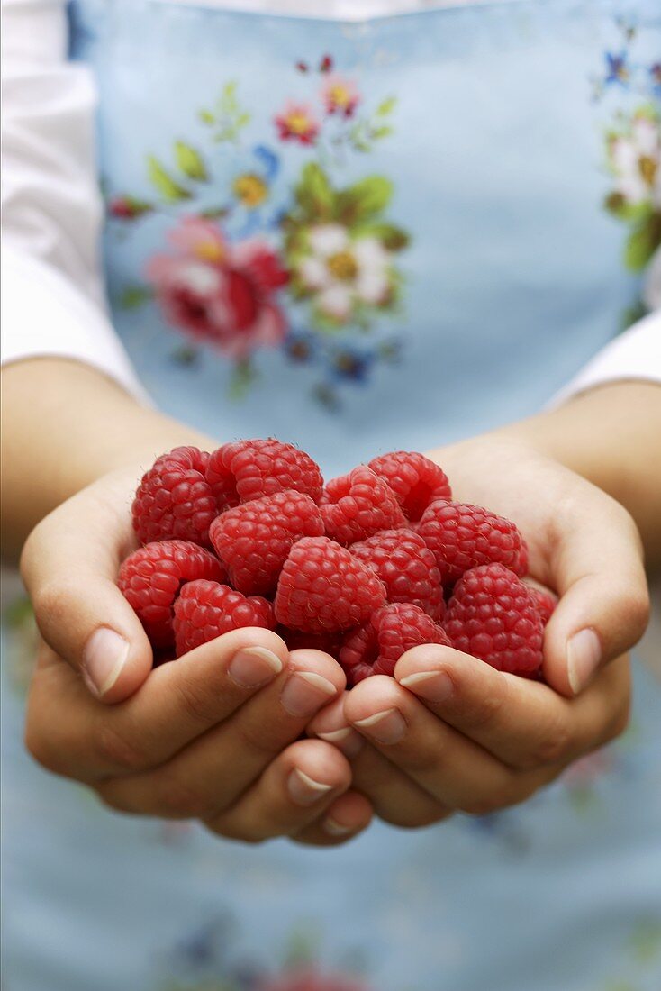 Hands holding fresh raspberries