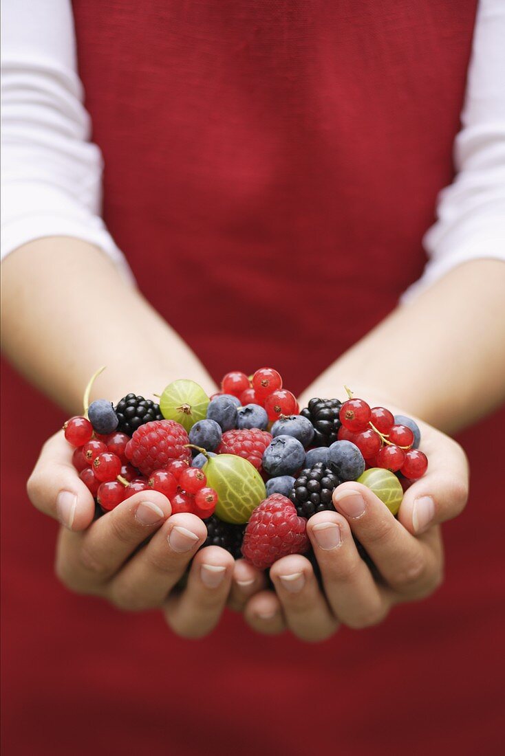 Hände halten frische Sommerbeeren