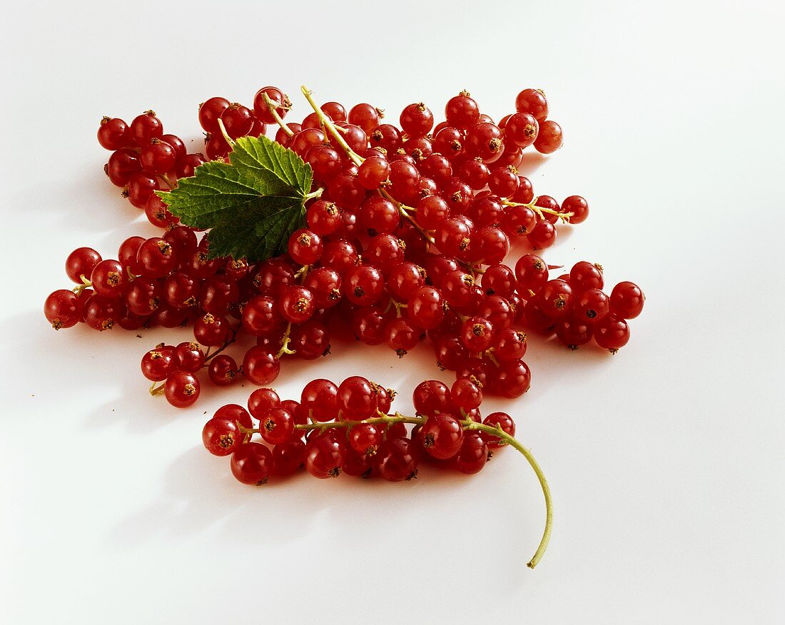 Redcurrants (Ribes rubrum) with leaf