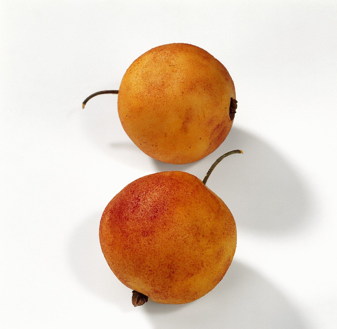 Two marzipan peaches
