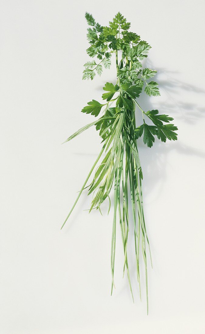 Fines herbes (classic French herb mixture)