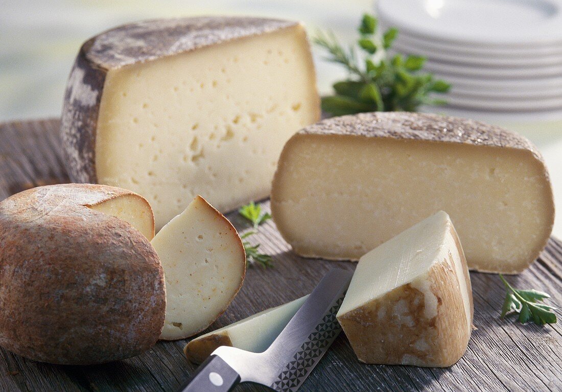 Various types of Pecorino with cheese knife