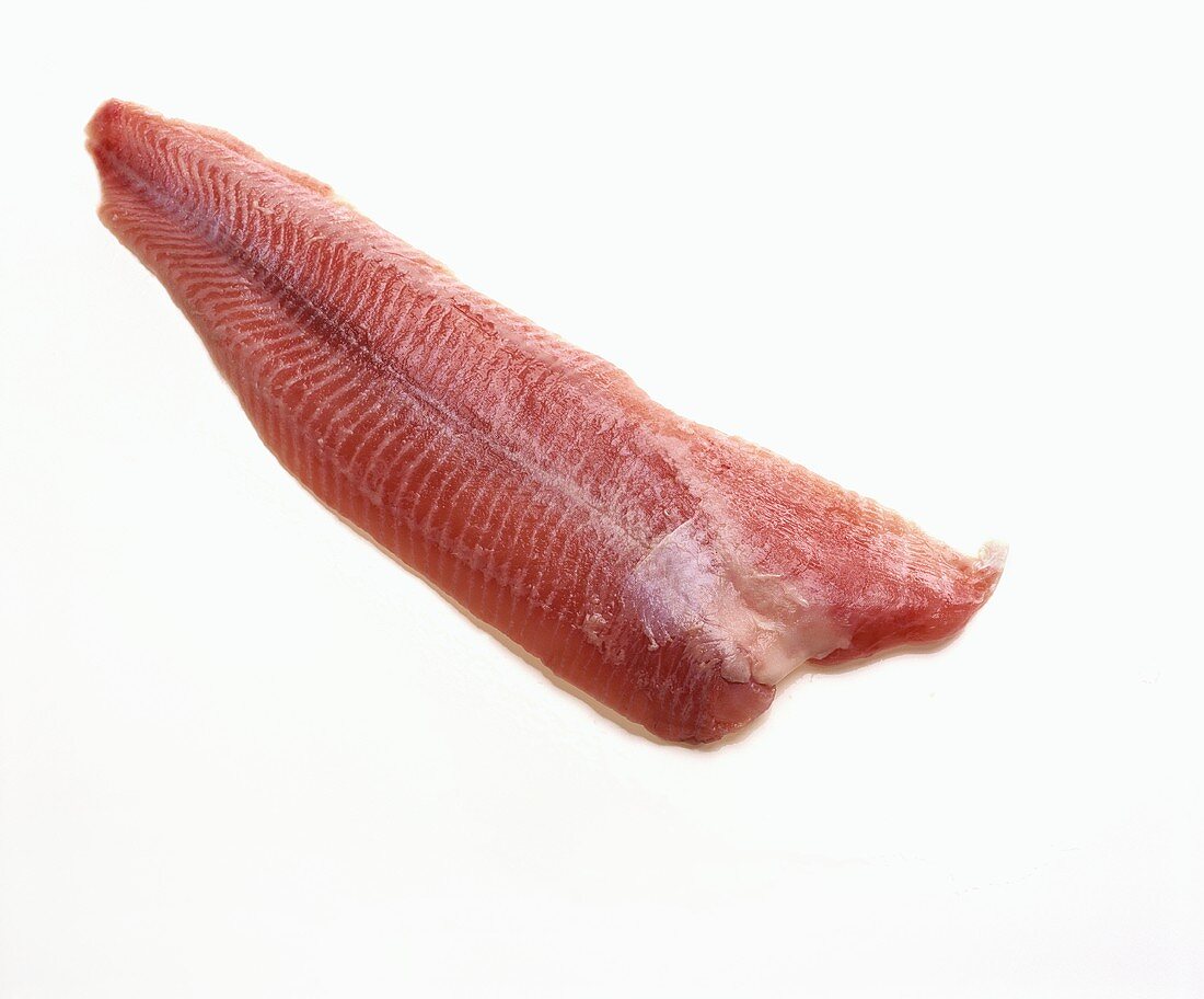 Red catfish fillet