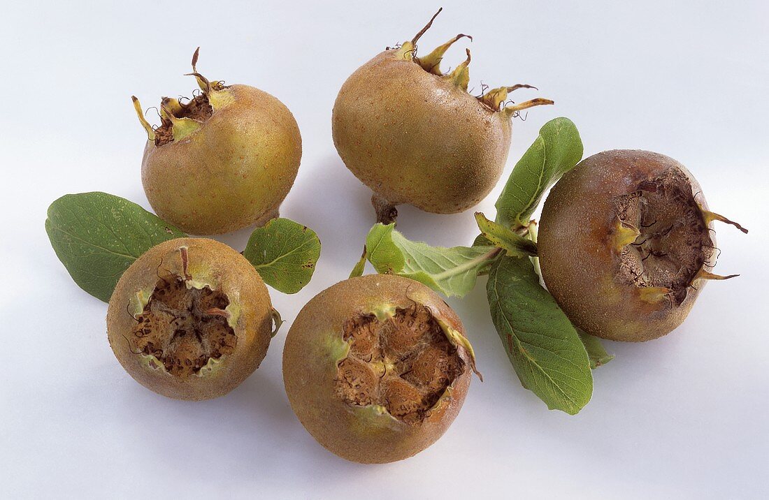 Five medlars with leaves