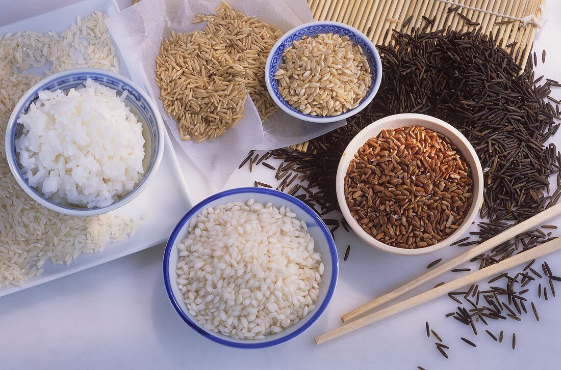 Assorted Rices Still Life