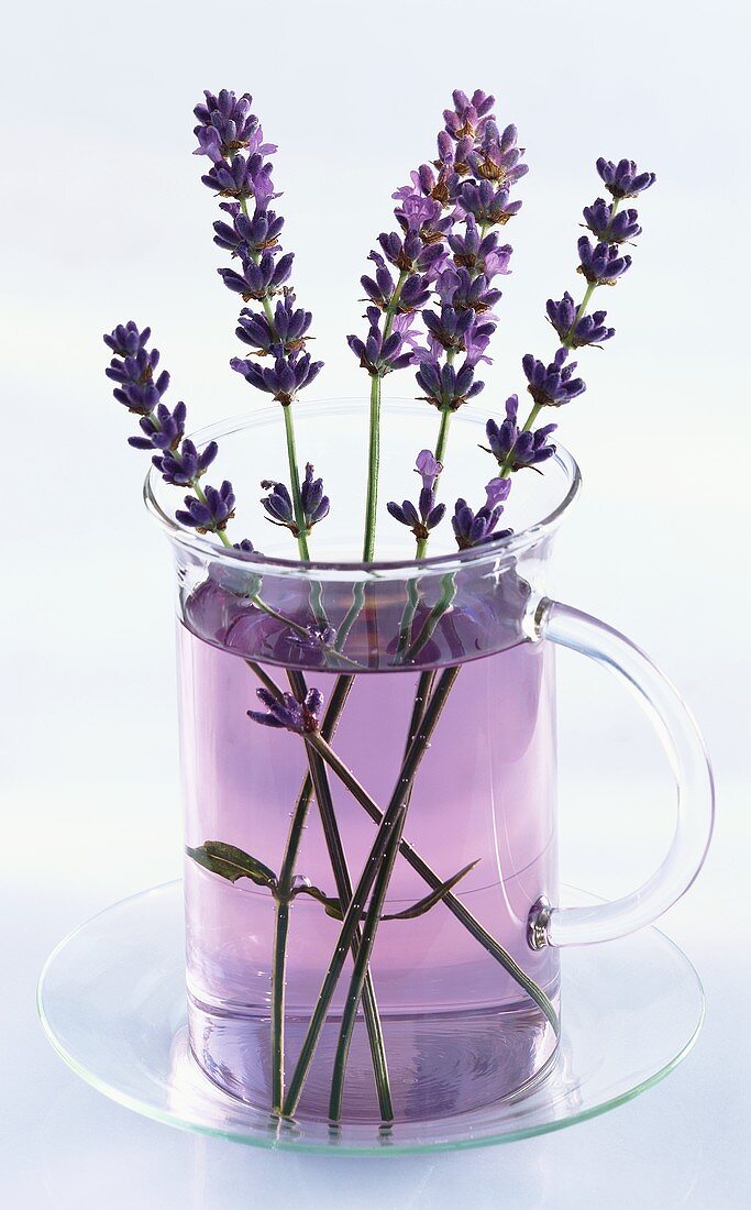 Ein Glas Lavendeltee mit Lavendelzweigen