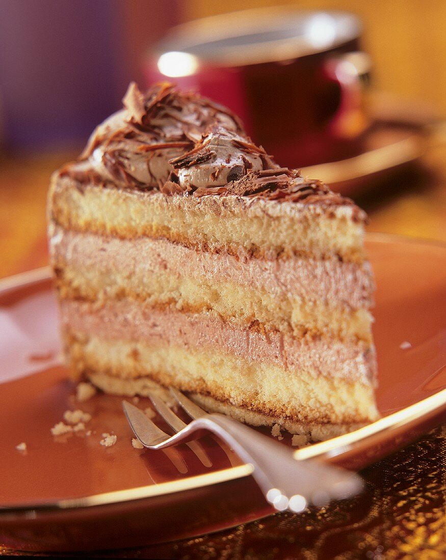 Piece of sponge cake with chocolate cream