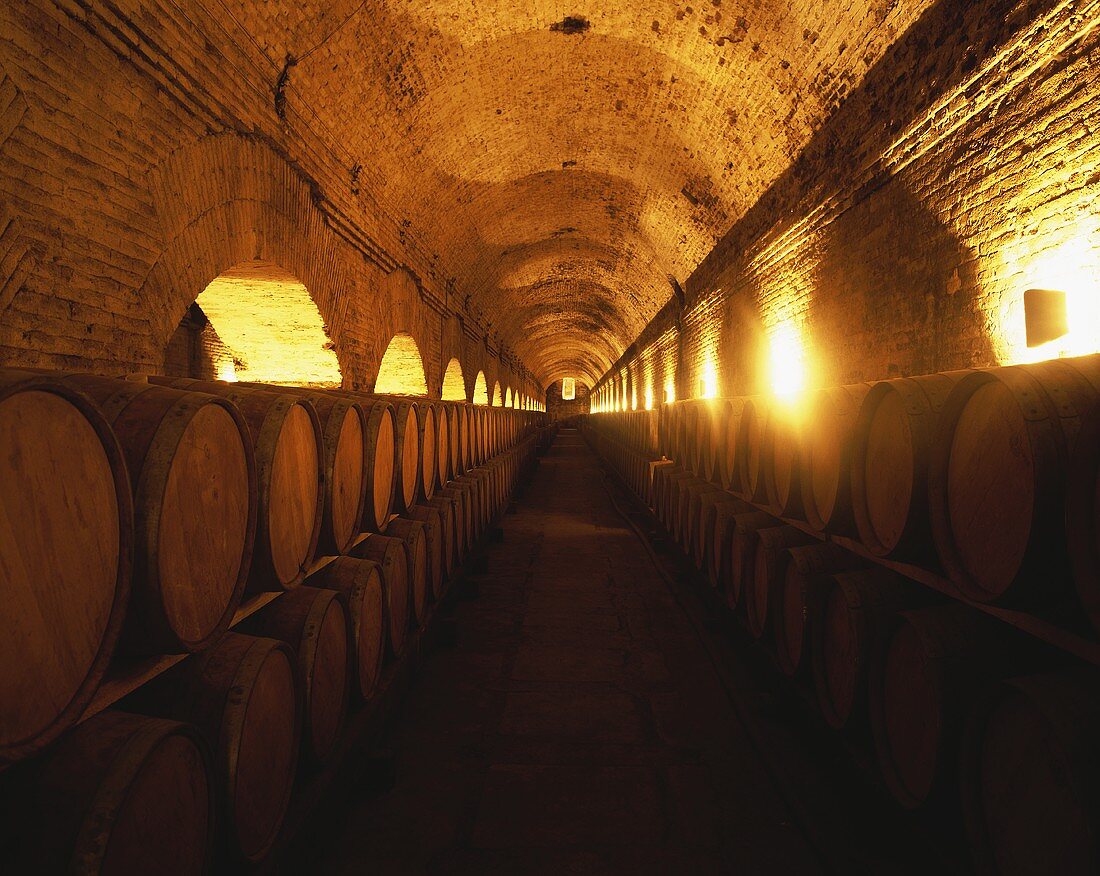 Wine cellar in Maipo Valley, Santiago, Chile