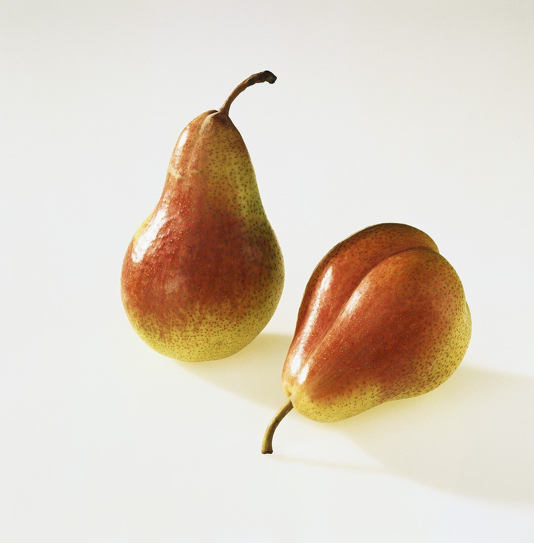 Two pears, variety Klapps Liebling