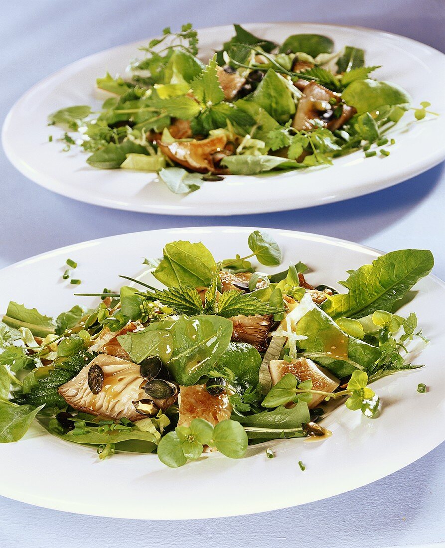 Herb salad with oyster mushrooms and pumpkin seeds