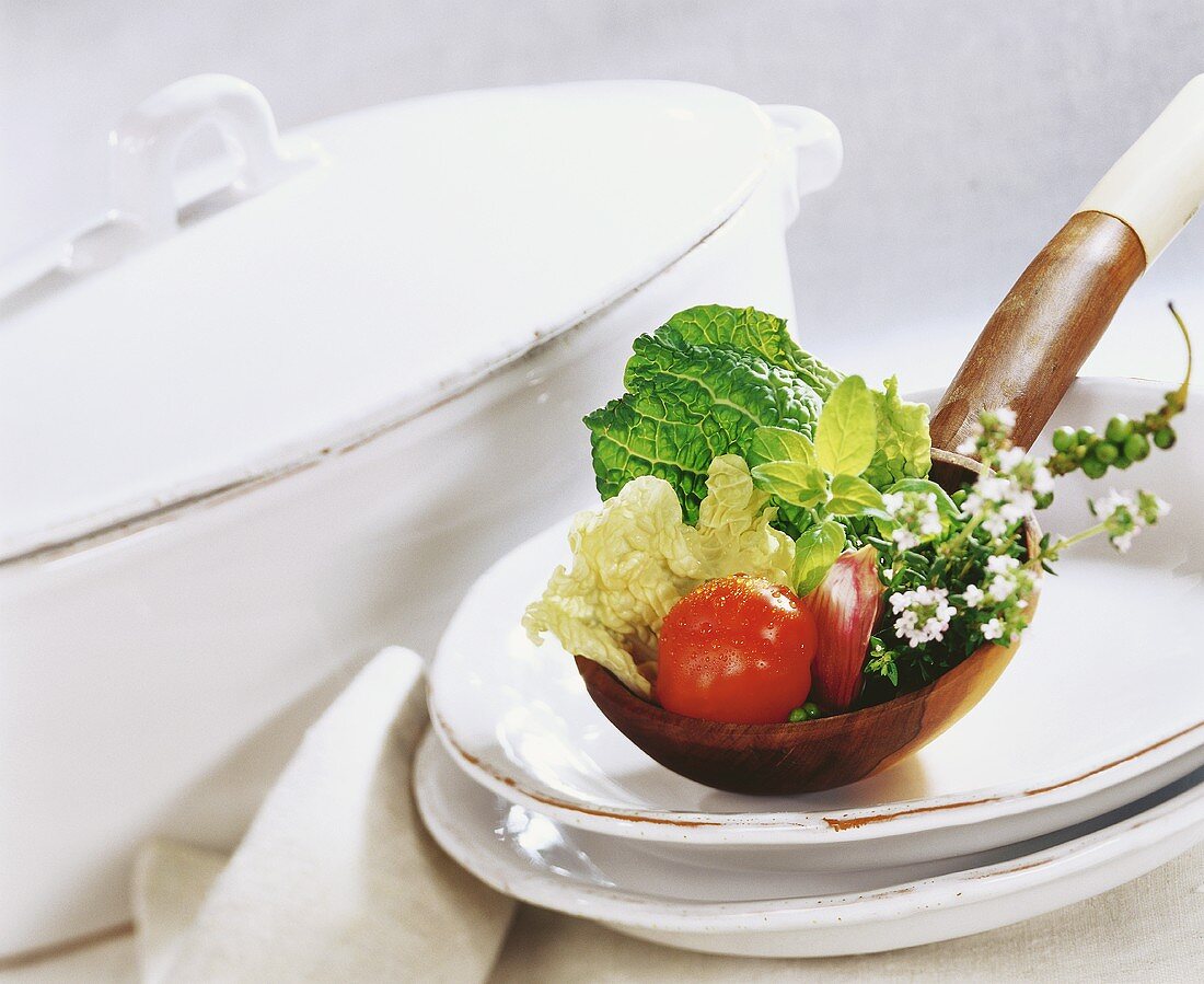 Kohl, Tomate, Zwiebel und Kräuter in Kelle neben Suppentopf