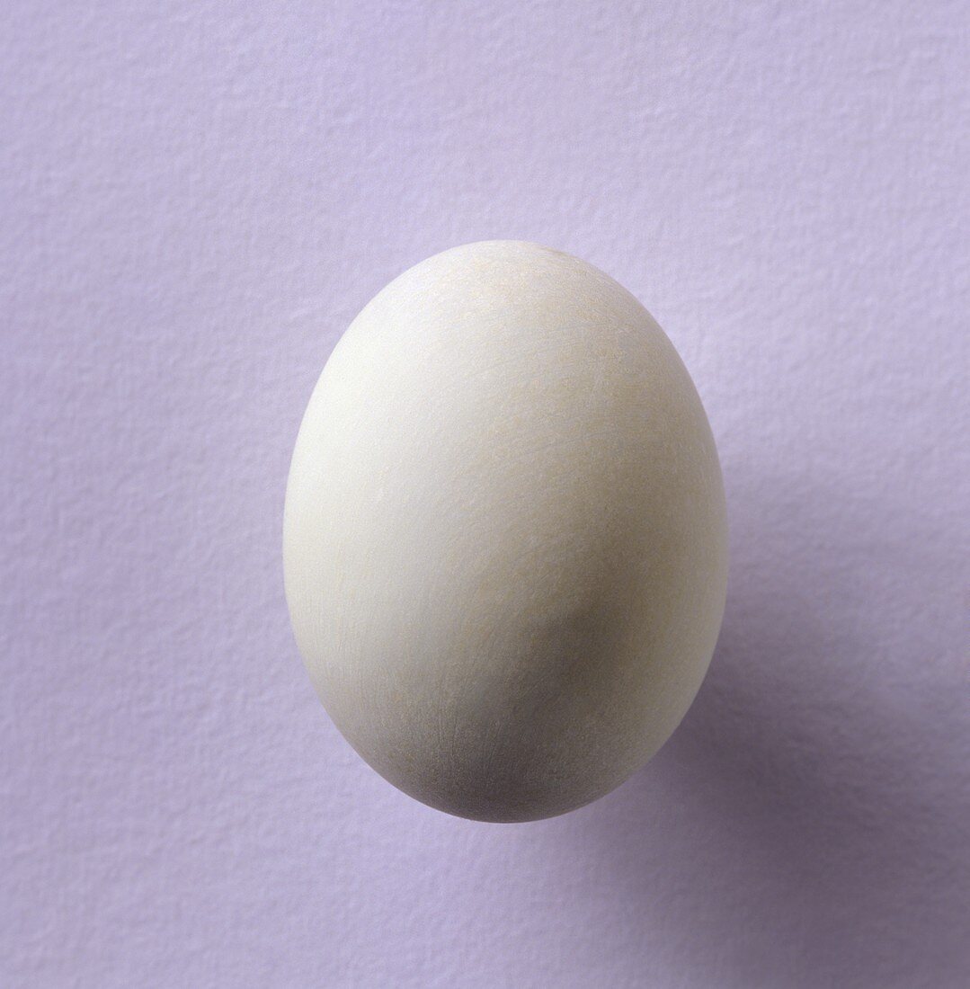 Duck egg
