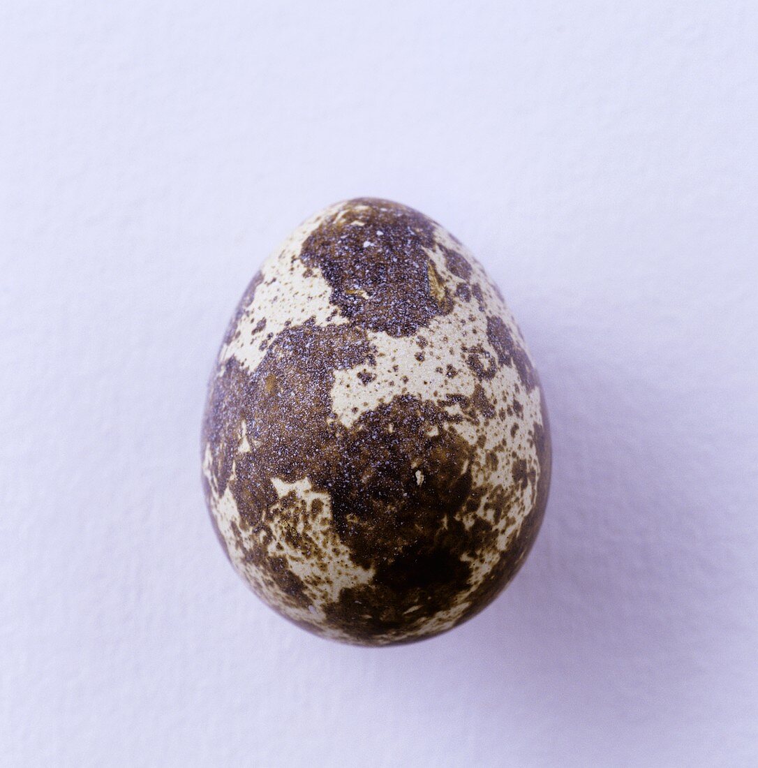 Quail's egg