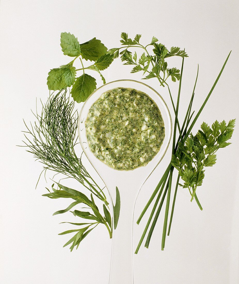 Herb sauce on spoon, surrounded by fresh herbs