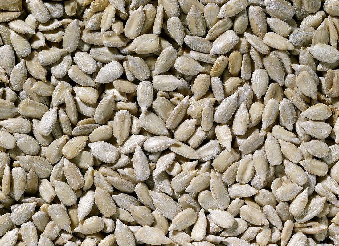 Sunflower seeds, filling the picture