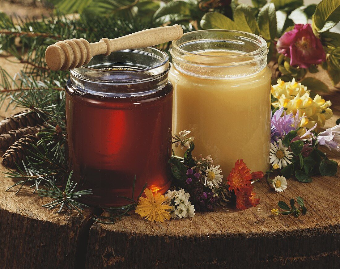 Forest and blossom honey in two jars