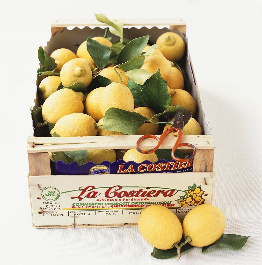 Fresh lemons from Italy in crate