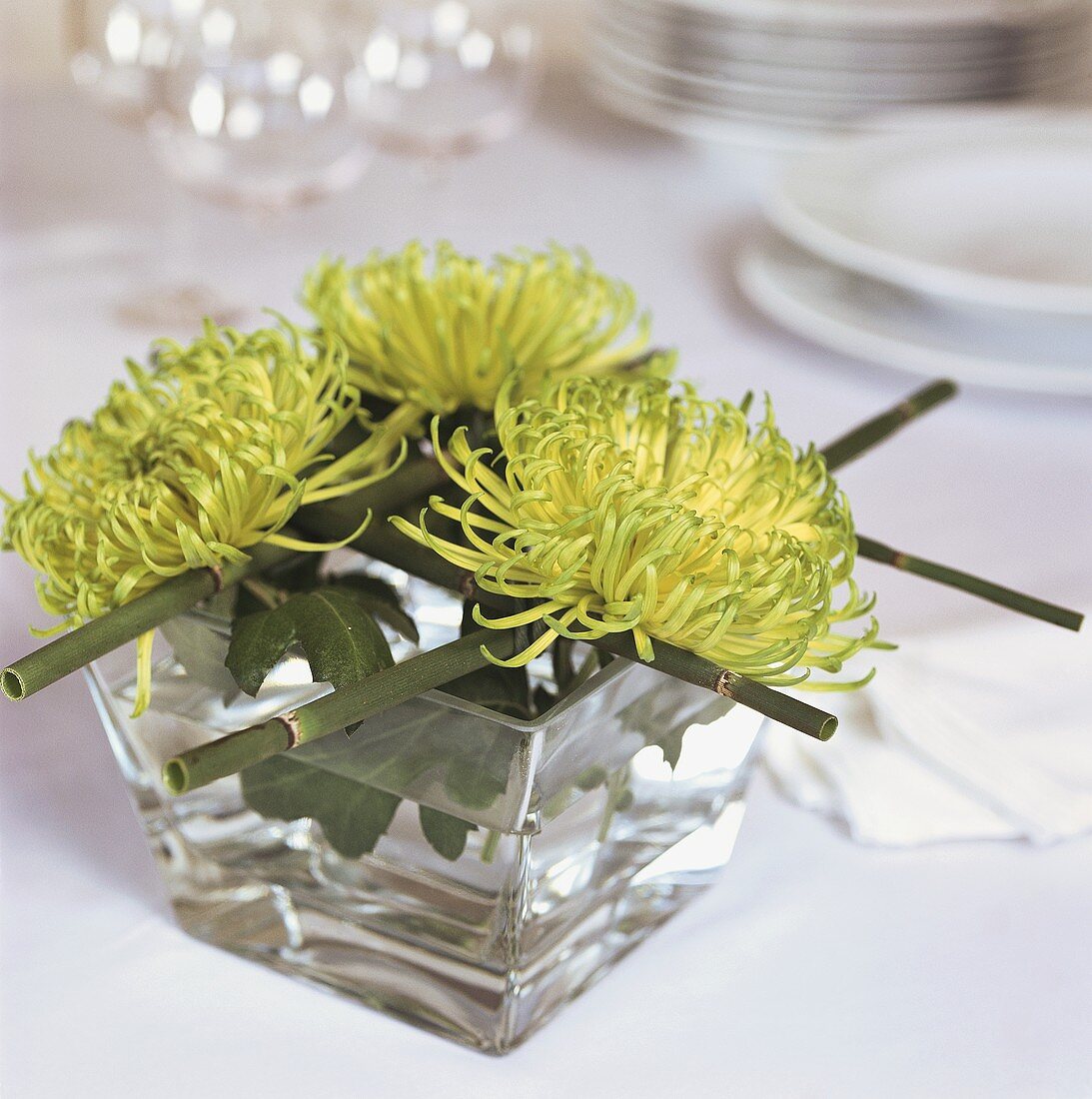 Green chrysanthemums in glass of water as table decoration