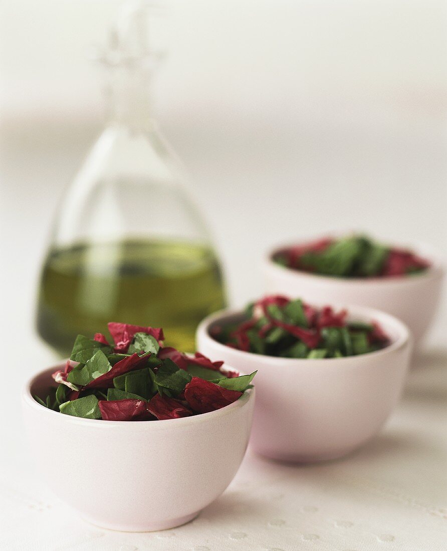 Radicchio and spinach salad with olive oil