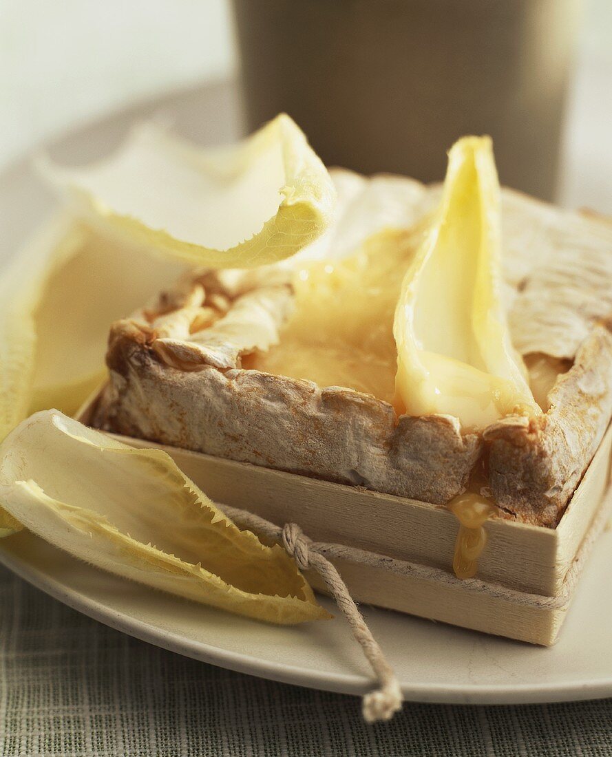 In Holzschachtel gebackener Käse mit Chicorée
