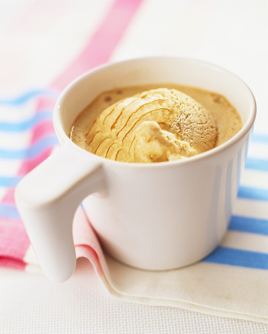 Coffee ice cream in white cup