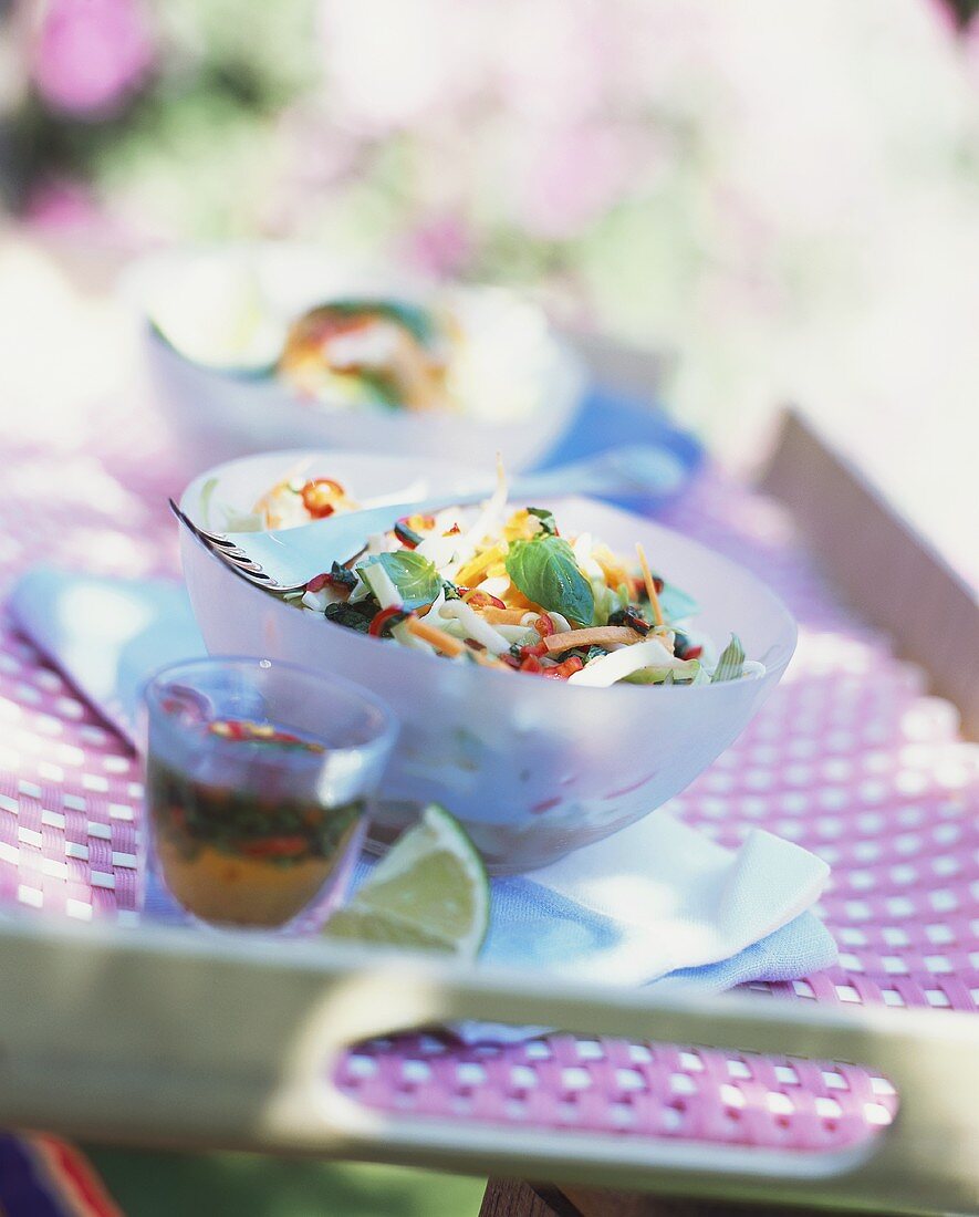 Colourful summer salad with fresh basil