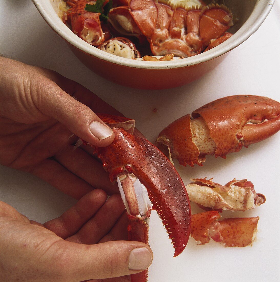 Taking the meat out of a lobster claw