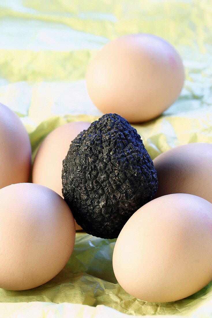 Schwarze Trüffel und frische braune Eier