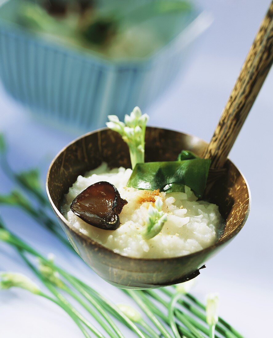 Rice soup with nori and jelly ear fungus in ladle (Japan)