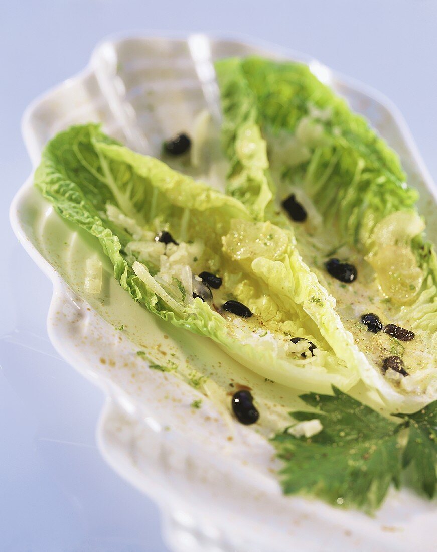 Romaine lettuce with black beans and grated cheese