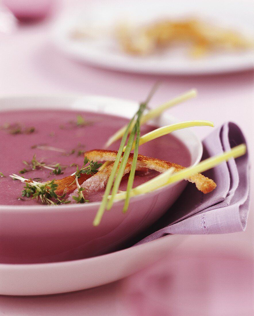 Red onion soup with cress and strips of bread